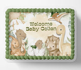 DINOSAUR BABY SHOWER Cake Topper Edible Image Dinosaur baby shower cake Decorations Personalized cake topper